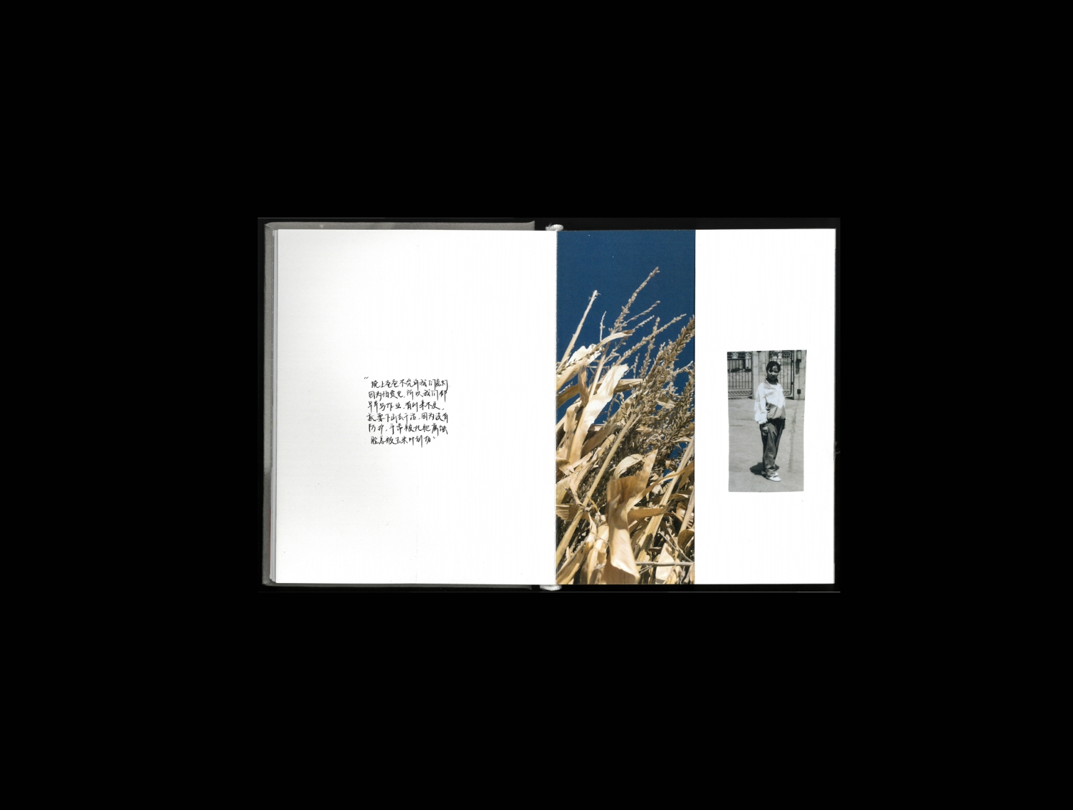 Artist book spread about farmland and migration